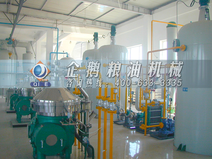 如何投資建設(shè)棕櫚油加工廠？企鵝糧油機(jī)械在線為您答疑解惑(圖2)