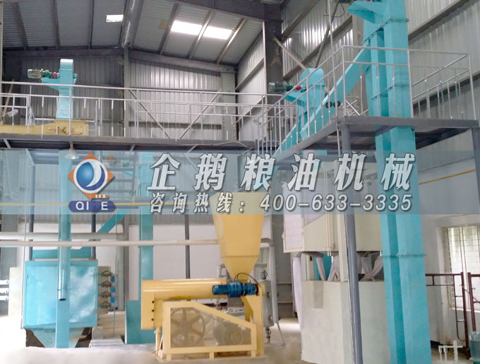 如何投資建設(shè)棕櫚油加工廠？企鵝糧油機(jī)械在線為您答疑解惑(圖4)