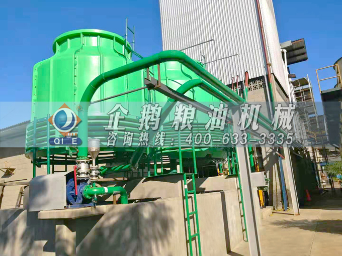 如何投資建設(shè)棕櫚油加工廠？企鵝糧油機(jī)械在線為您答疑解惑(圖3)