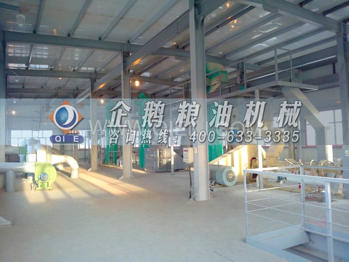 如何提取到高質(zhì)量的大豆油？一條企鵝浸出生產(chǎn)線(xiàn)就足夠了(圖2)